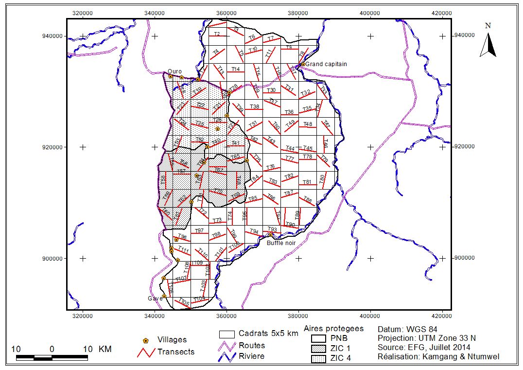 INVENTAIRE DES GRANDS ET MOYENS MAMMIFERES DANS LE COMPLEXE PARC NATIONAL DE LA BENOUE, ZONE D’INTERET CYNEGETIQUE 1 ET 4